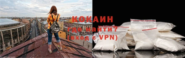 шишки Пестово