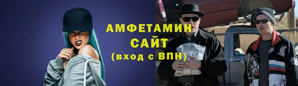 шишки Пестово