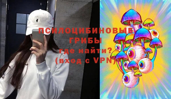 шишки Пестово