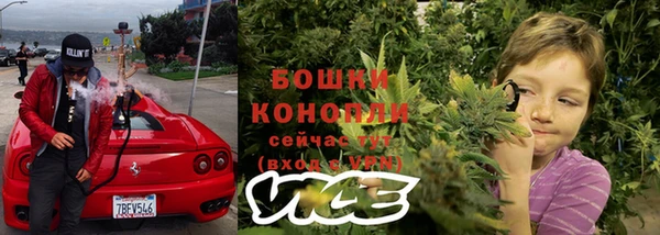 ешки Осинники