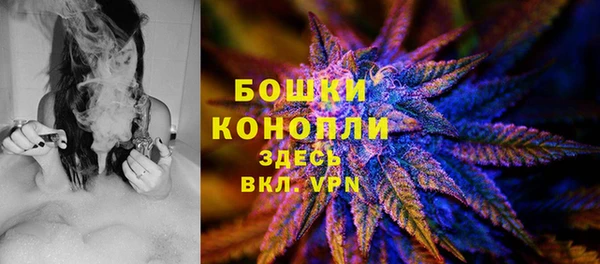 шишки Пестово