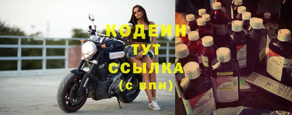шишки Пестово