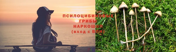 мдма Переславль-Залесский