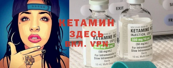 шишки Пестово