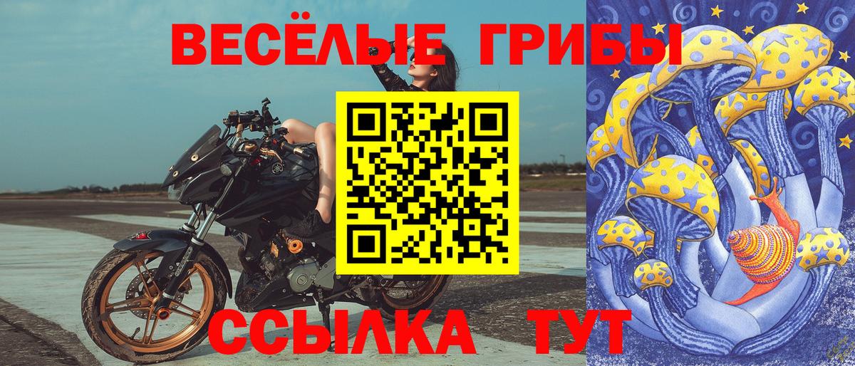 Галлюциногенные грибы GOLDEN TEACHER  Галлюциногенные грибы прущие грибы  продажа наркотиков  Усть-Лабинск  Вход с VPN 